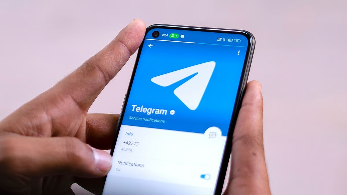 Discover cheap telegram subscribers for Affordable Audience Growth